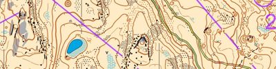 British Long Champs